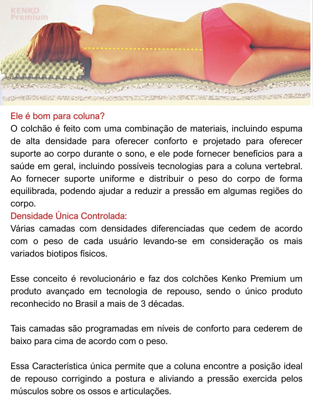 Camadas internas do colchão Plus Pillow Top Kenko Premium