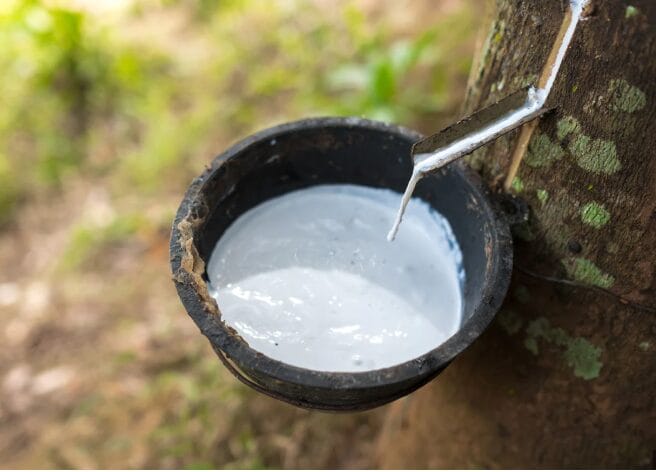 Látex natural — travesseiro anatômico Kenko Premium